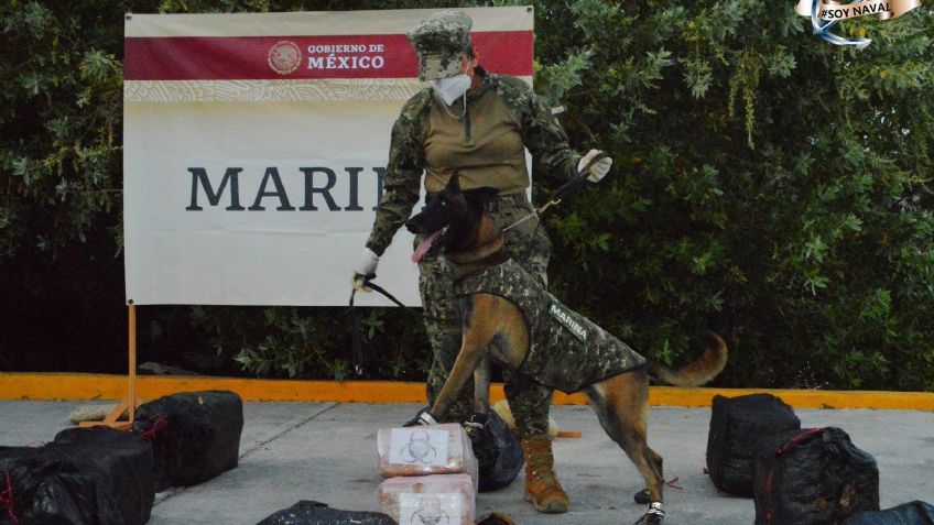 Semar asegura más de 600 Kilogramos de cocaína en Oaxaca; estos son los detalles
