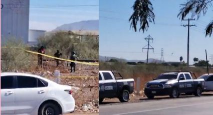 A tempranas horas, hallan cuerpo sin vida en Ciudad Obregón, Sonora: Estaba violentado