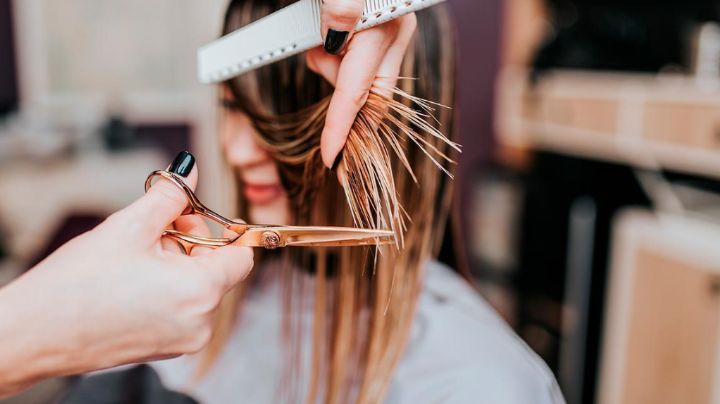 Cabello: ¿Con qué frecuencia debes cortarte las puntas para mantenerlo sano?