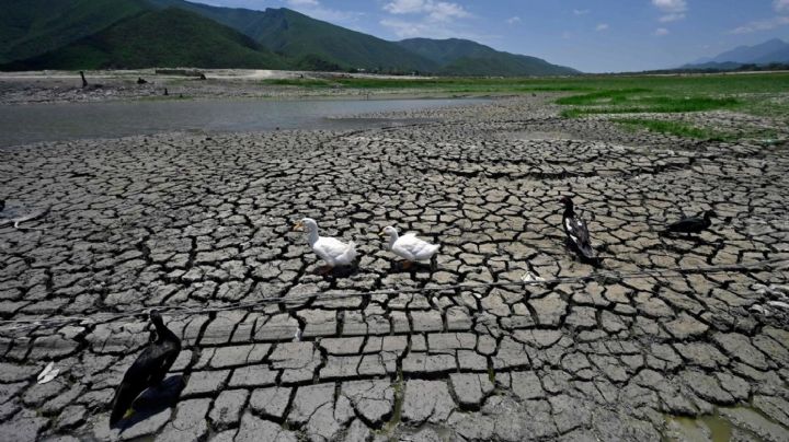 Declaran emergencia hídrica en Sonora; 98.6% de los municipios se verían afectados