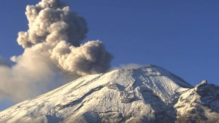 Cultivos en Amecameca quedan arruinados por caída de ceniza del Popocatépetl