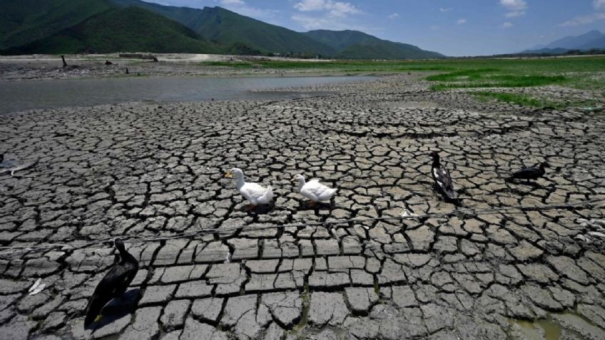 Declaran emergencia hídrica en Sonora; 98.6% de los municipios se verían afectados