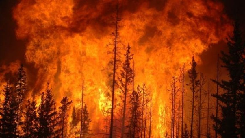 Incendios en Chile dejan al menos 19 muertos al momento; sismo sorprende al país andino