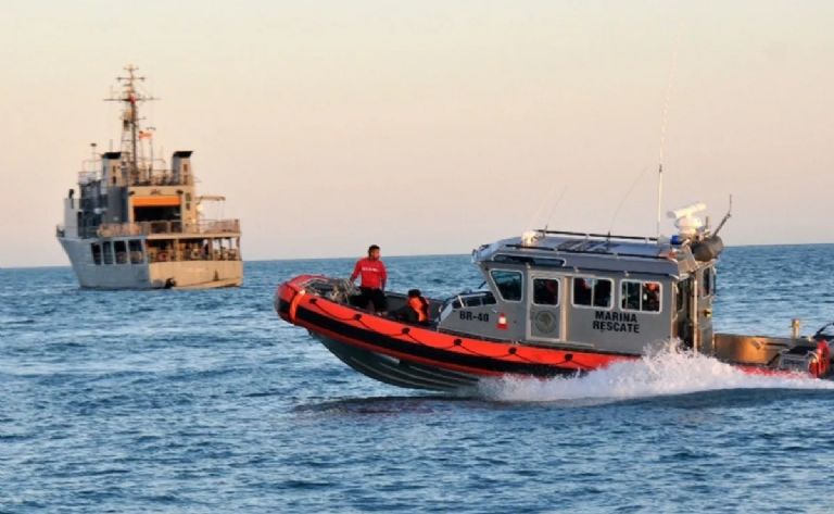 Hay alerta en el Sur de Sonora por presencia de tiburón. Foto: Cortesía