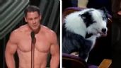 Foto ilustrativa de la nota titulada De John Cena sin ropa al perrito Messi: Los mejores memes de los Premios Oscar 2024
