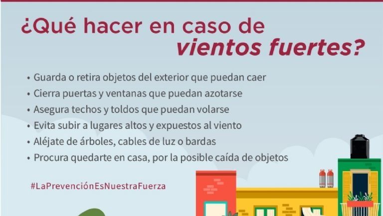 Árbol de 18 metros cae en Iztapalapa, CDMX, y afecta cableado de luz y teléfono