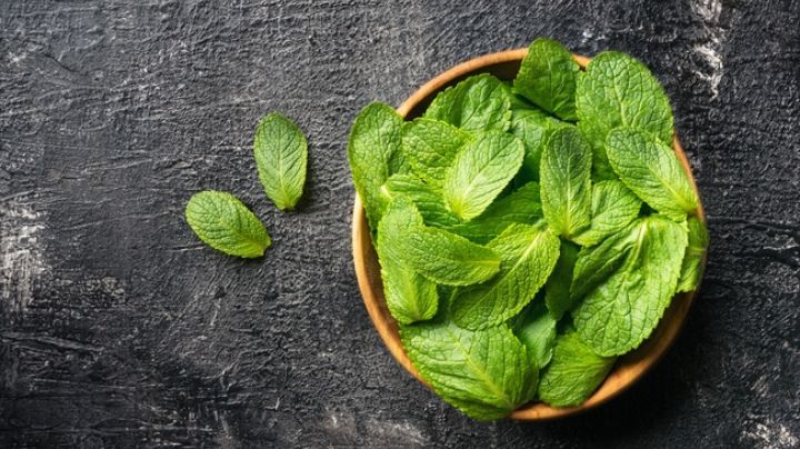 5 maravillosos usos medicinales que tiene la menta; un remedio natural y eficaz