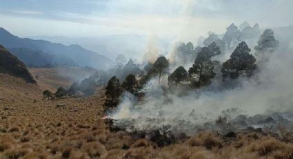 Incendio en lztaccíhuatl deja al menos 260 hectáreas afectadas por el fuego
