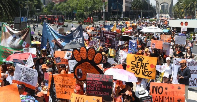 Marcha en Ciudad de México contra el Maltrato Animal