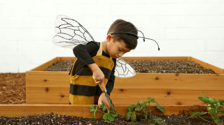¡Llegó la primavera! Ideas creativas y fáciles de disfraces de la estación para niños