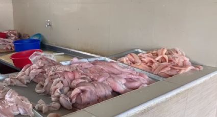 Ciudad Obregón: Dueños de pescaderías asumen incrementos para no afectar a consumidores