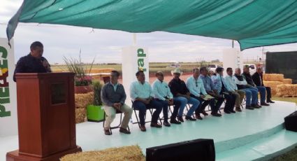 Arranca la celebración de la edición 69 del 'Día del agricultor' en el Valle del Yaqui
