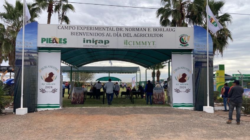 Valle del Yaqui: Celebran el Día del Agricultor en medio de una crisis hídrica