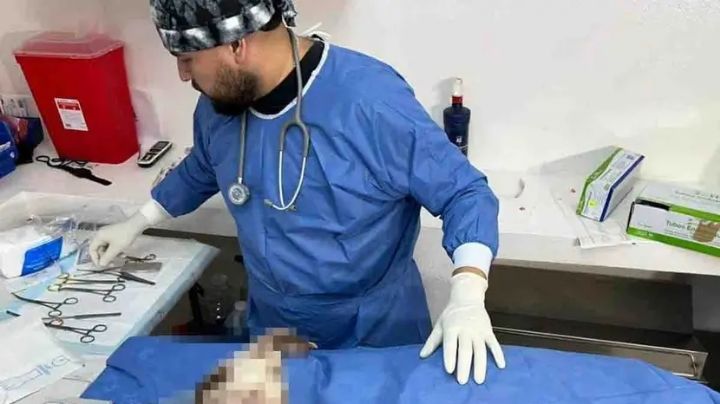 Conmoción en Escobedo: Muere 'Randy', el perrito acuchillado; la comunidad exige justicia