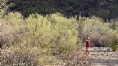 (FOTO) Fatal accidente en Sonora: Joven senderista cae de un cerro y pierde la vida