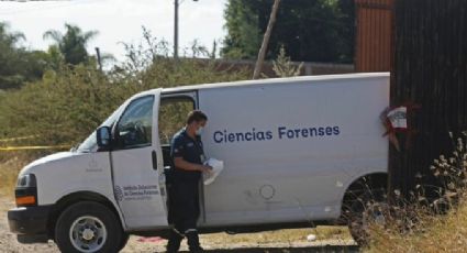 Violencia, sin control: En plena carretera, abandonan 5 cadáveres; FGE Jalisco investiga