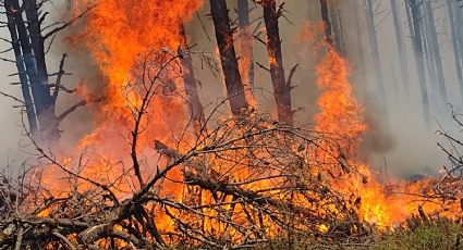 Incendio forestal en Jilotzingo aterra a la población; investigan si fue provocado