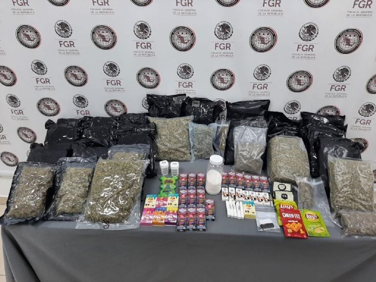 FGR halla marihuana en empacadora de Santa Catarina en Nuevo León; esto sucedió 