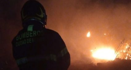 México arde en llamas: Bomberos se movilizan por incendio en el Bosque de Chapultepec