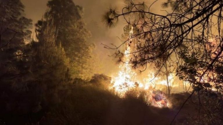 Reactivación del Incendio en Jilotzingo, Estado de México: Situación Actual y Despliegue de Recursos