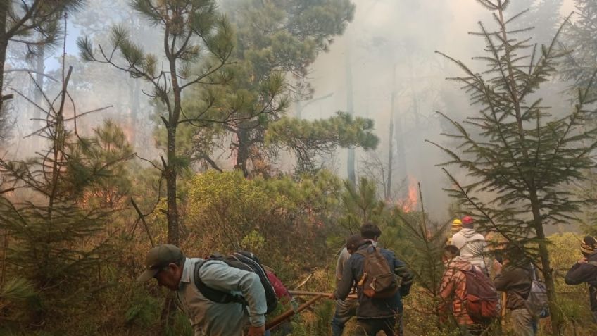 Reporta la reactivación del incendio en Jilotzingo, Estado de México; esta es la situación actual