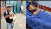Foto ilustrativa de la nota titulada: ‘Medio Metro’ sería hospitalizado de urgencia tras ser mordido por un perro con rabia