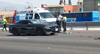 Tragedia: Ciclista muere atropellado por vehículo en la autopista México-Pachuca
