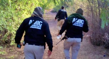 Vinculan a tres miembros de la AMIC por suplantar a un hombre armado detenido en Navojoa