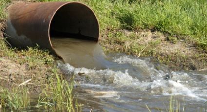 Conagua: 39% de los puntos de agua contienen material fecal y metales pesados