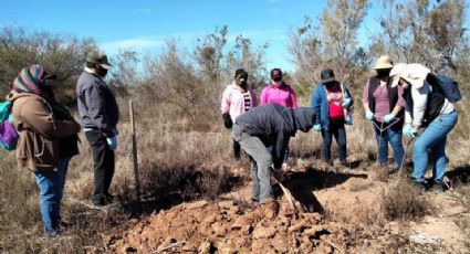 Marzo cierra con dos desapariciones en Guaymas y Empalme, revela colectivo de búsqueda