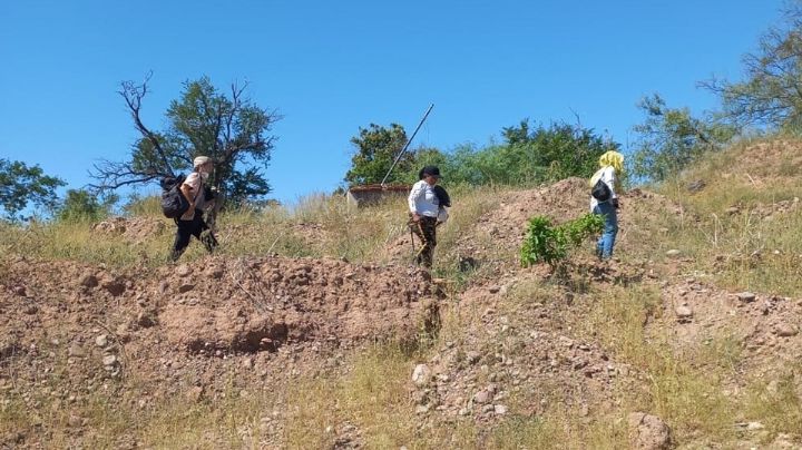 Guerreras Buscadoras de Guaymas y Empalme iniciarán jornada de búsqueda; piden sumarse