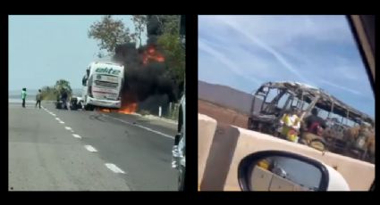 (VIDEO) Llamas consumen un autobús a media autopista en Sinaloa; hay 4 muertos