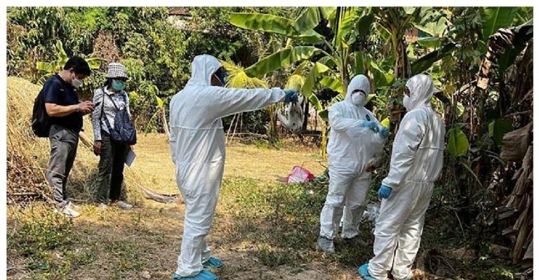 Detectan gripe aviar en aves de parques en Nueva York