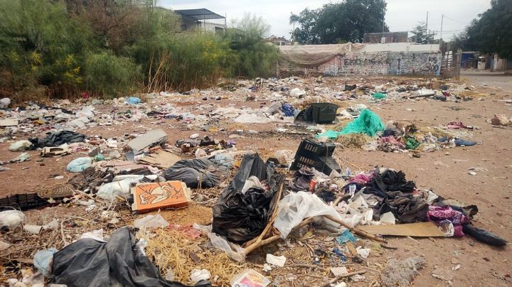 Ciudad Obregón: Vecinos de la Sóstenes Valenzuela sufren por basureros clandestinos