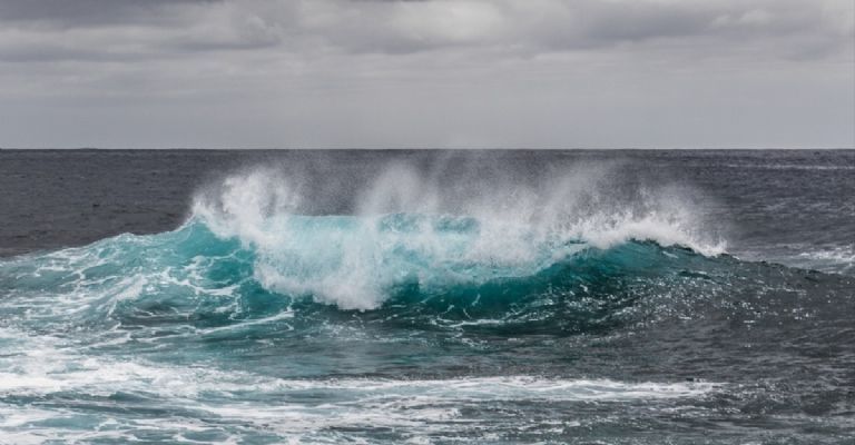 Rescatan a tres hombres de una isla luego de enviar una petición de ayuda utilizando hojas de palmera