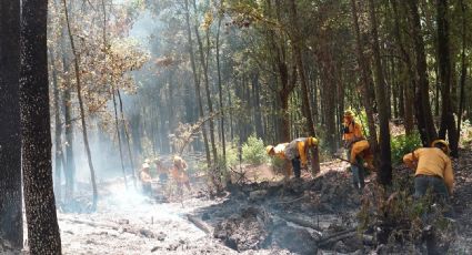 Los incendios forestales no paran en el Estado de México; 54 brigadas los combaten