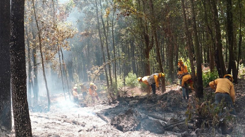 Los incendios forestales no paran en el Estado de México; 54 brigadas los combaten