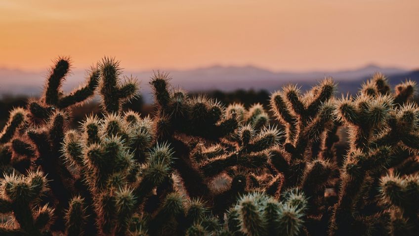 Clima en Sonora Miércoles 17 de abril: Habrá heladas en las sierras, advierte CONAGUA