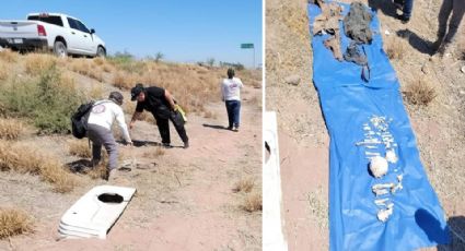 Colectivo de búsqueda encuentra restos humanos en la carretera Navojoa - Los Mochis