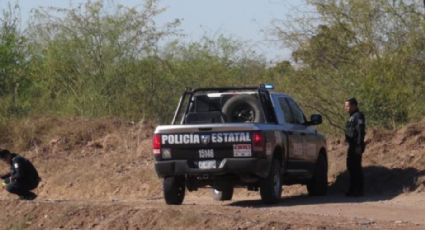 Encuentran 'embolsado' en el Valle del Yaqui, cerca del Campo 5; lo arrojaron desde auto