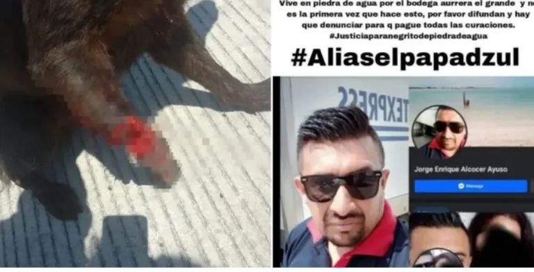Detienen a hombre que atacó con un machete al perro 'Negrito' y dictan prisión preventiva 