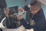 VIDEO: Policías de la CDMX rescatan a perrito atrapado en un tinaco