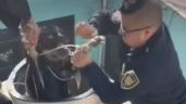VIDEO: Policías de la CDMX rescatan a perrito atrapado en un tinaco