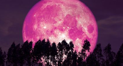Luna Rosa de Abril 2024: Estos serán los signos zodiacales más afectados; Mhoni Vidente