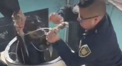 VIDEO: Policías de la CDMX rescatan a perrito atrapado en un tinaco
