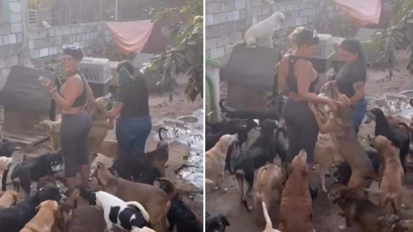 Tras adopciones masivas de perritos, recuerdan cuando Niurka aceptó sacrificar animales