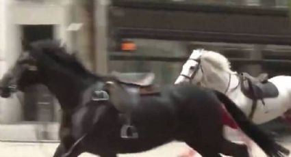 Se desata estampida de caballos en Londres y deja a 5 personas heridas en un caótico incidente