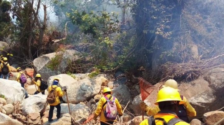 Alerta en Guerrero: Incendios forestales en Acapulco causan pánico; suspenden clases