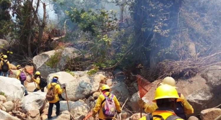 Alerta en Guerrero: Incendios forestales en Acapulco causan pánico; suspenden clases