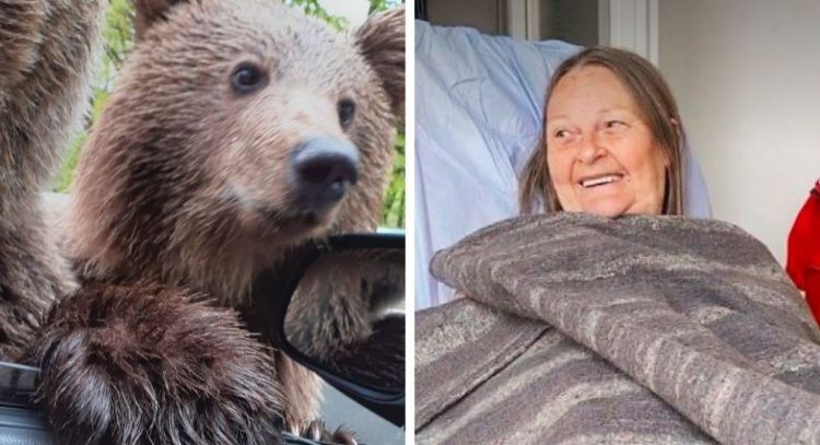 Turista escapa de un ataque de oso tras intentar una selfie: “Pensé que quería ser mi amigo”